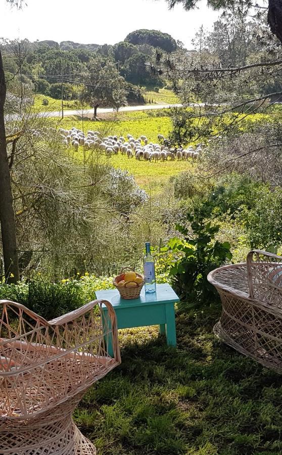 Casa ROMANCE da Valdareina, Bénagil, Carvoeiro, Marinha Carvoeiro  Esterno foto