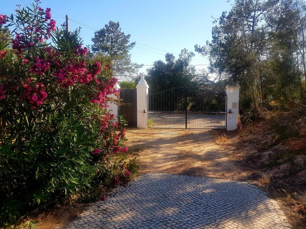 Casa ROMANCE da Valdareina, Bénagil, Carvoeiro, Marinha Carvoeiro  Esterno foto
