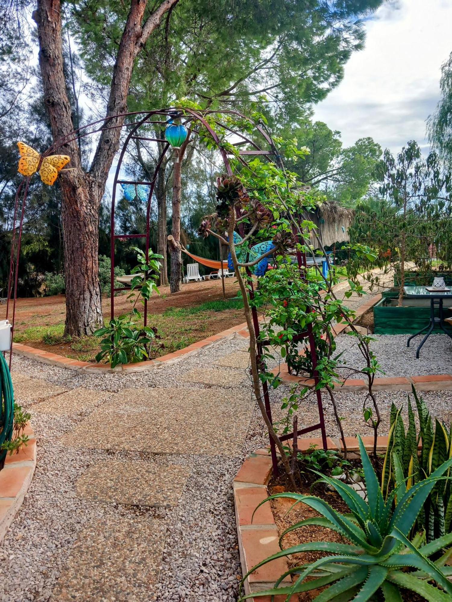 Casa ROMANCE da Valdareina, Bénagil, Carvoeiro, Marinha Carvoeiro  Esterno foto